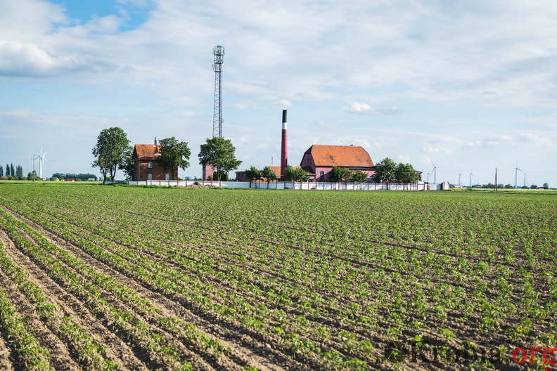 Rewitalizacja Krobi 2017